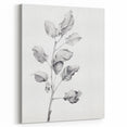 Vintage Botanical Art Print: Fiddle Leaf Plant in Black & White