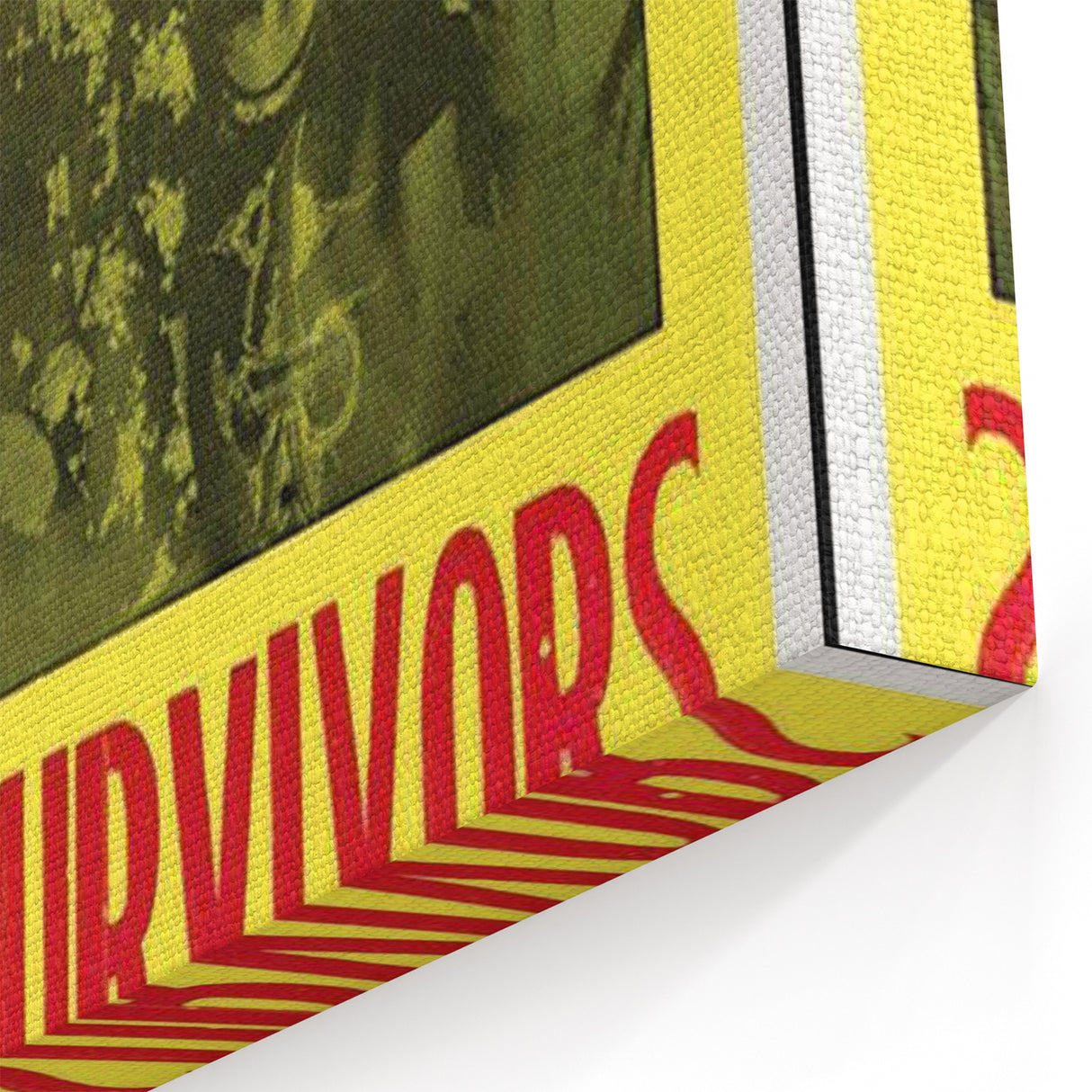 Lynyrd Skynyrd Street Survivors Poster - Vintage Rock Wall Art