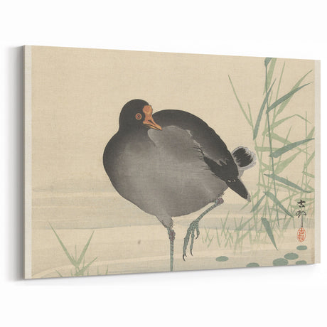 Vintage Animal Art – Retro Bird Illustration Wall Decor