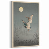 Vintage Animal Art - Ducks in Flight Illustration - Retro Animal Prints