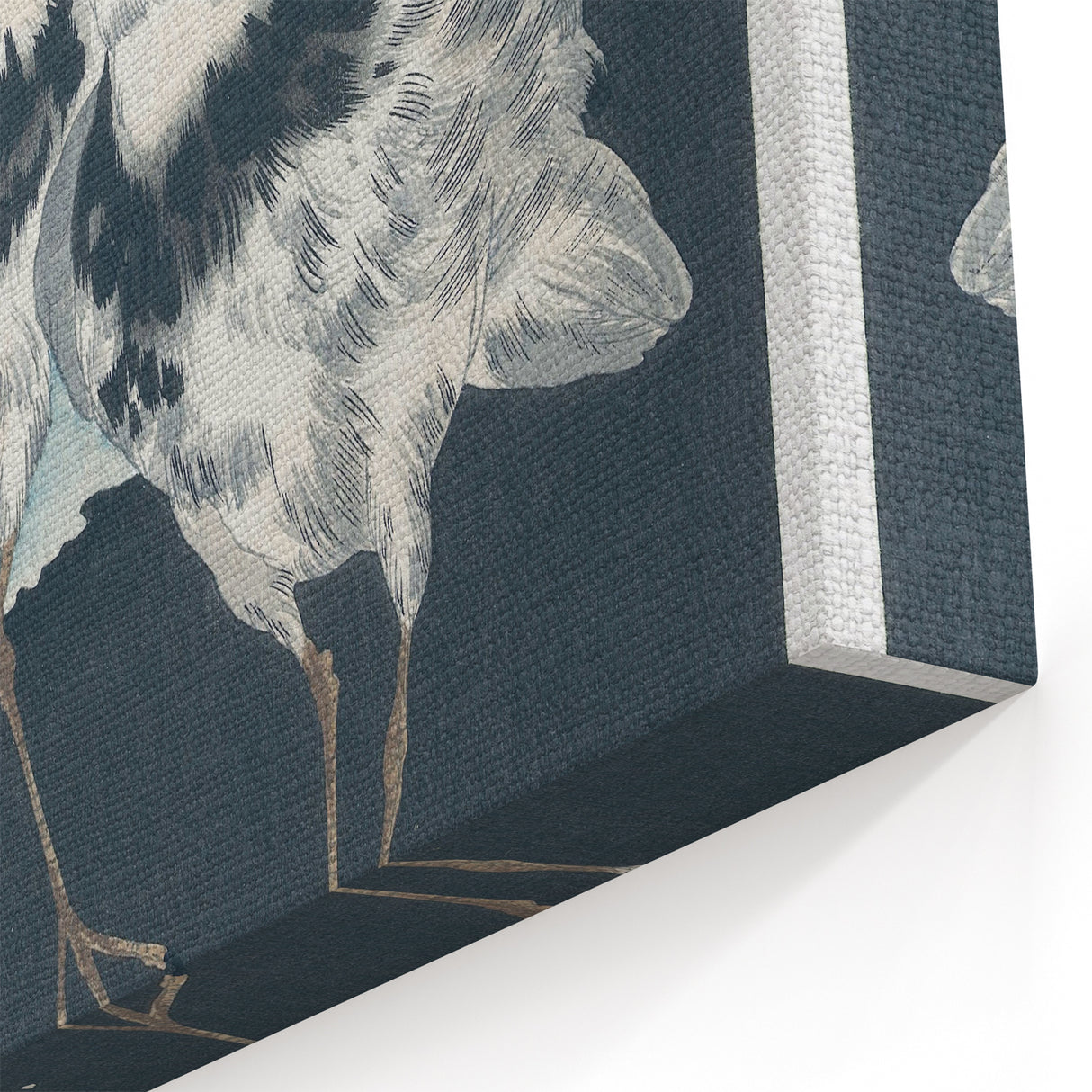 Vintage Animal Art - Shore Birds Illustration - Retro Animal Prints