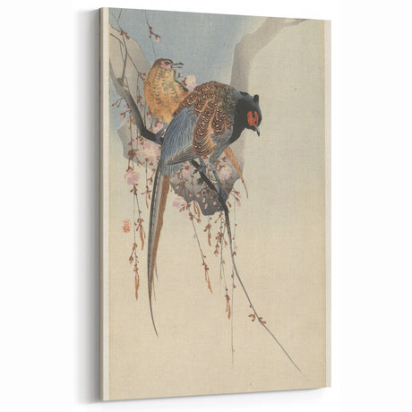 Vintage Animal Art - Birds Perched on Blossom Branch - Retro Animal Prints