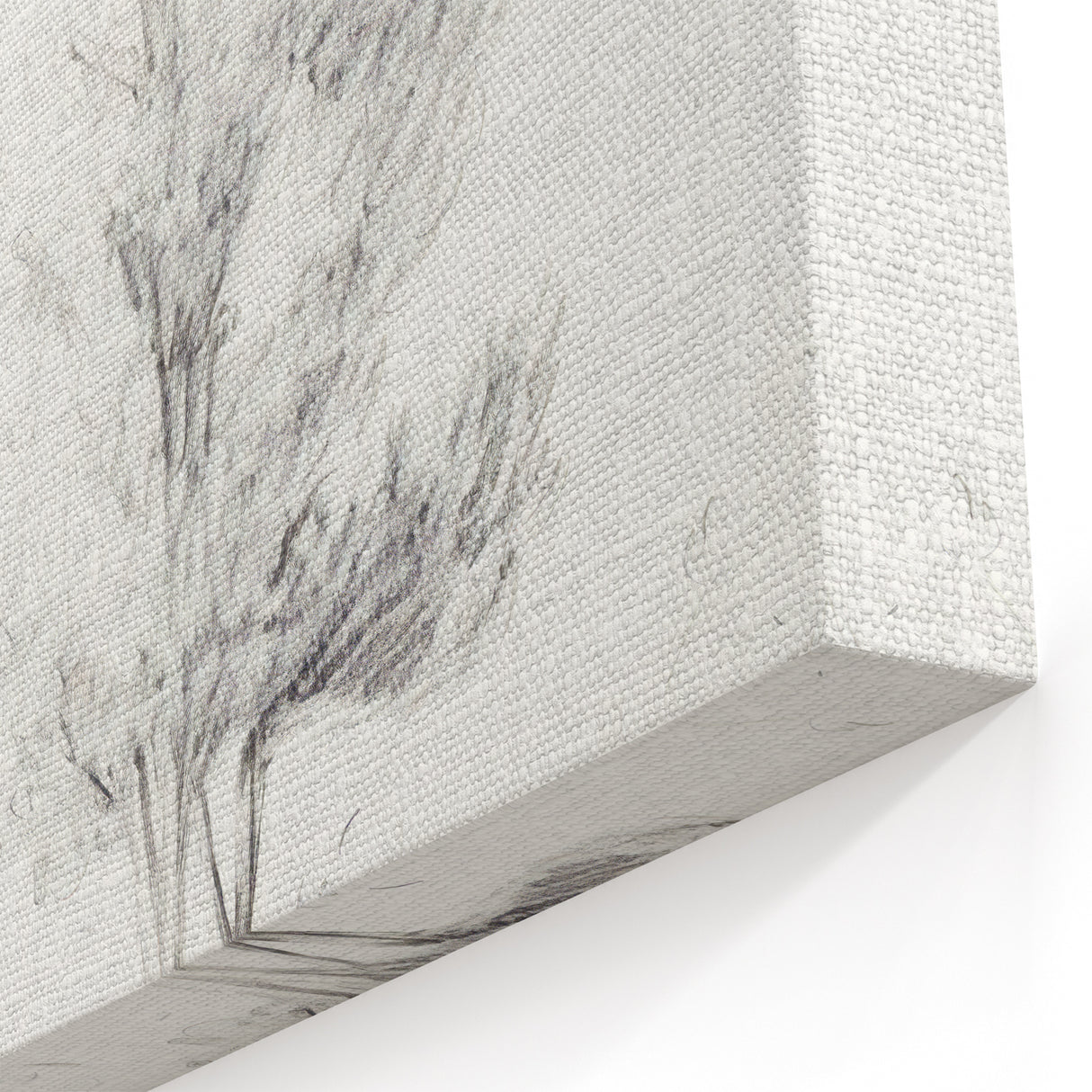 Vintage Botanical Art Prints – Pencil Drawing of Trees – Elegant Wall Art