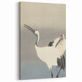 Vintage Animal Art - Cranes in Graceful Stance - Retro Animal Prints