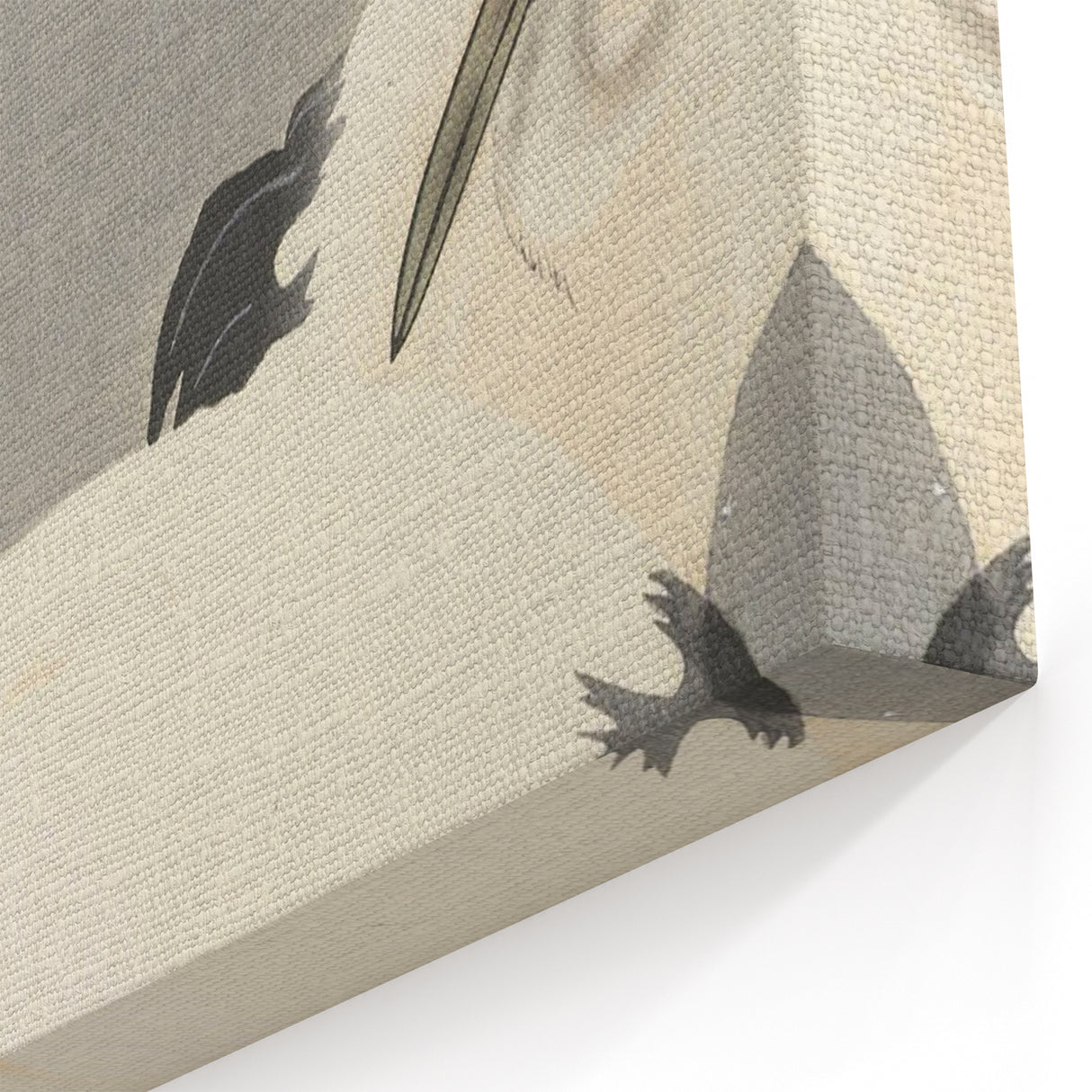 Vintage Animal Art - Cranes in Graceful Stance - Retro Animal Prints
