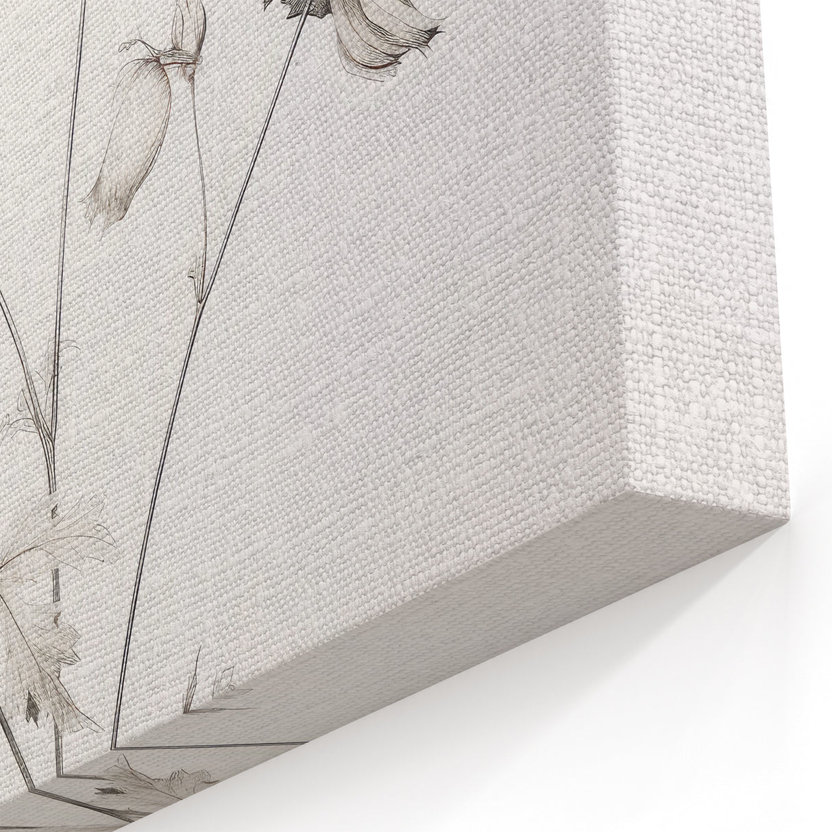 Vintage Botanical Art Print: Elegant Floral Sketch with Soft Details