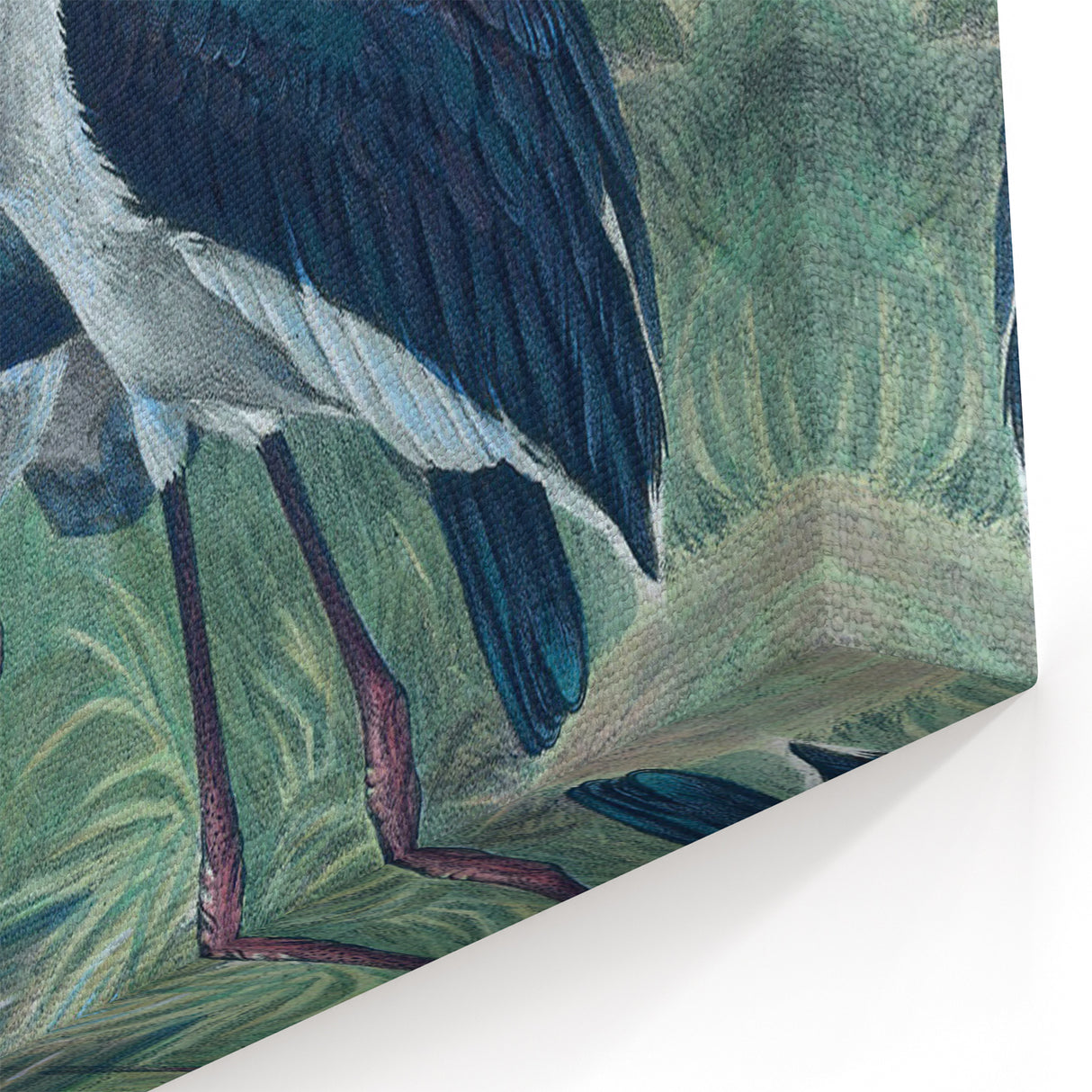 Vintage Animal Art - Storks in Nature - Retro Animal Prints