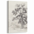 Vintage Botanical Art Print: Detailed Tree Sketch in Graphite Tones