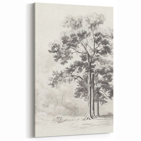 Vintage Botanical Art Print: Detailed Tree Sketch in Graphite Tones