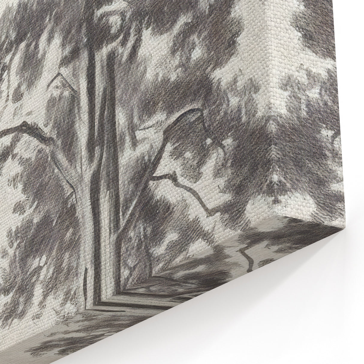 Vintage Botanical Art Print: Detailed Tree Sketch in Graphite Tones