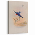 Vintage Animal Art - Swallows in Flight - Retro Animal Prints