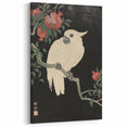 Vintage Animal Art - White Parrot with Pomegranates - Retro Animal Prints