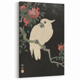Vintage Animal Art - White Parrot with Pomegranates - Retro Animal Prints