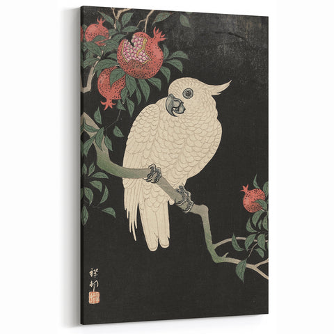Vintage Animal Art - White Parrot with Pomegranates - Retro Animal Prints