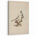 Vintage Animal Art - Birds on Branch - Retro Animal Prints