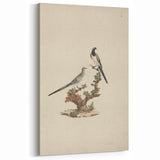 Vintage Animal Art - Birds on Branch - Retro Animal Prints