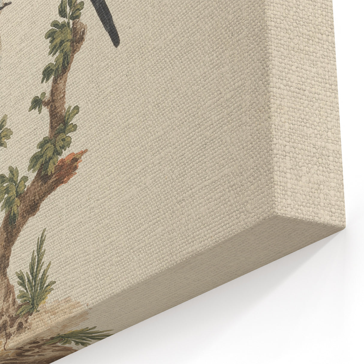 Vintage Animal Art - Birds on Branch - Retro Animal Prints