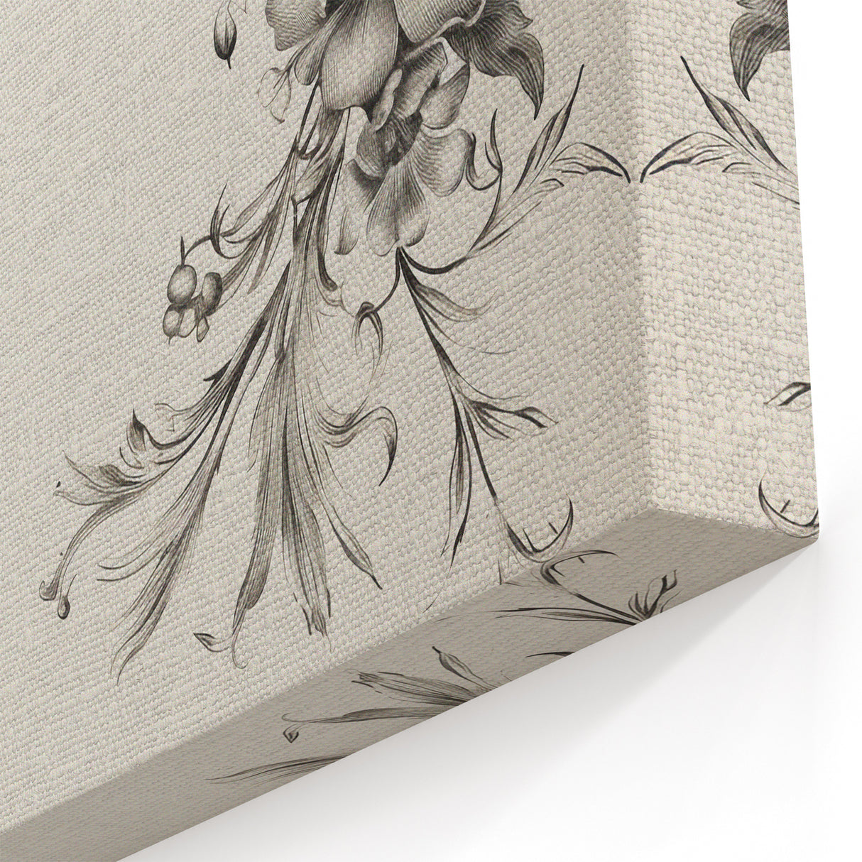 Vintage Botanical Art Prints - Antique Floral Illustrations