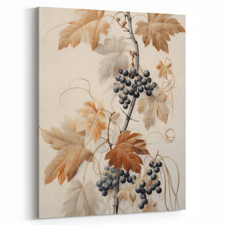 Vintage Botanical Art Prints – Antique Grapevine Floral Illustration