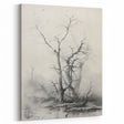 Vintage Botanical Art Prints – Antique Tree Illustration