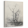 Vintage Botanical Art Prints – Antique Tree Illustration