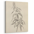 Vintage Botanical Art Prints – Antique Flowering Plant Illustration