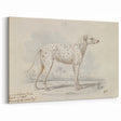 Vintage Animal Art – Handcrafted Dalmatian Dog Illustration