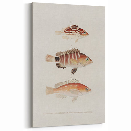 Timeless Vintage Animal Art – Retro Fish Illustration Wall Decor