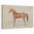 Vintage Horse Illustration - Elegant Animal Wall Art Print