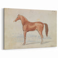 Vintage Horse Illustration - Elegant Animal Wall Art Print