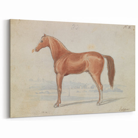 Vintage Horse Illustration - Elegant Animal Wall Art Print