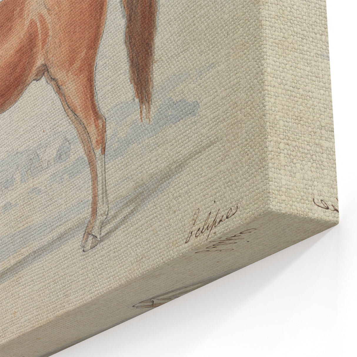 Vintage Horse Illustration - Elegant Animal Wall Art Print