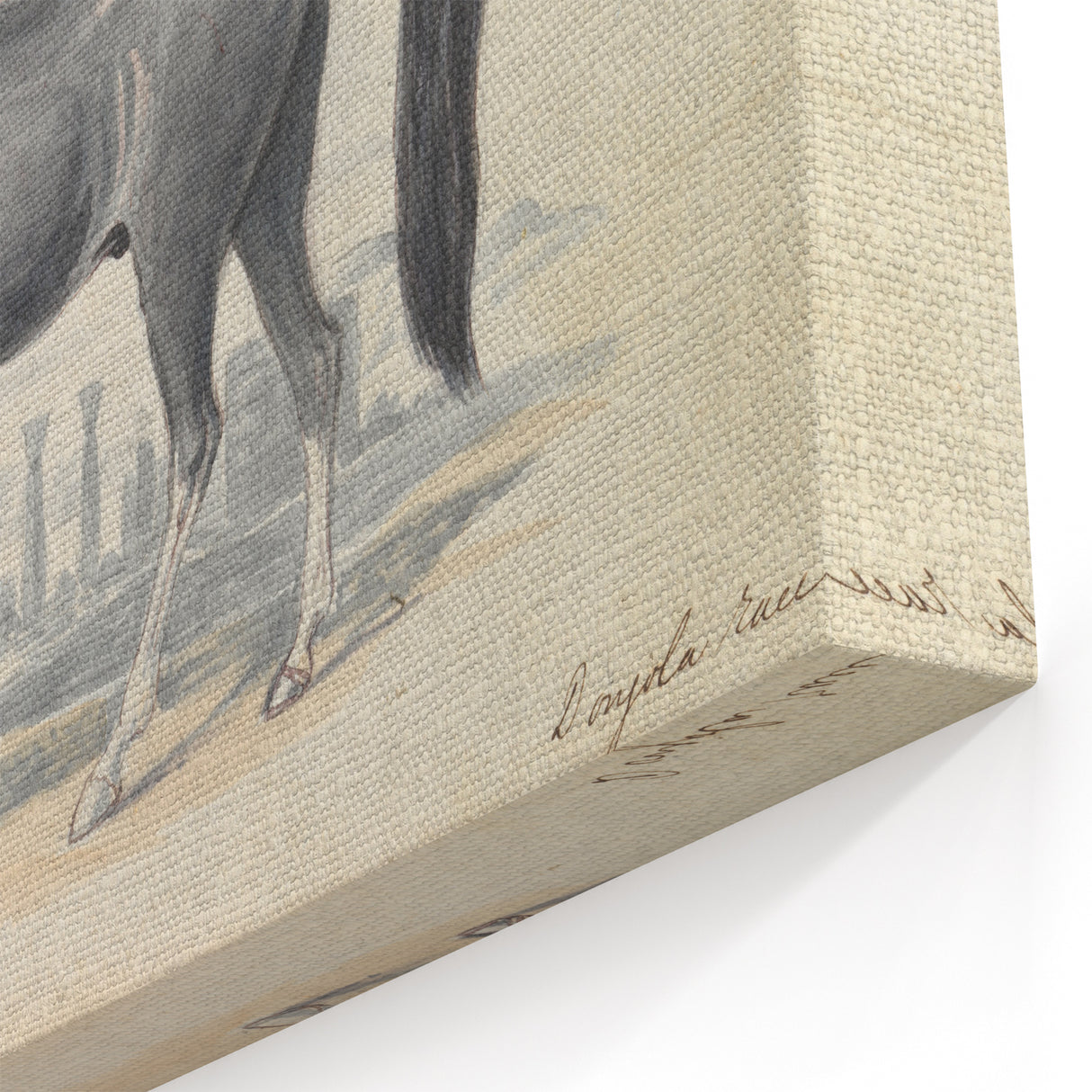 Vintage Black Horse Illustration - Elegant Animal Wall Art Print
