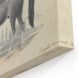 Vintage Black Horse Illustration - Elegant Animal Wall Art Print