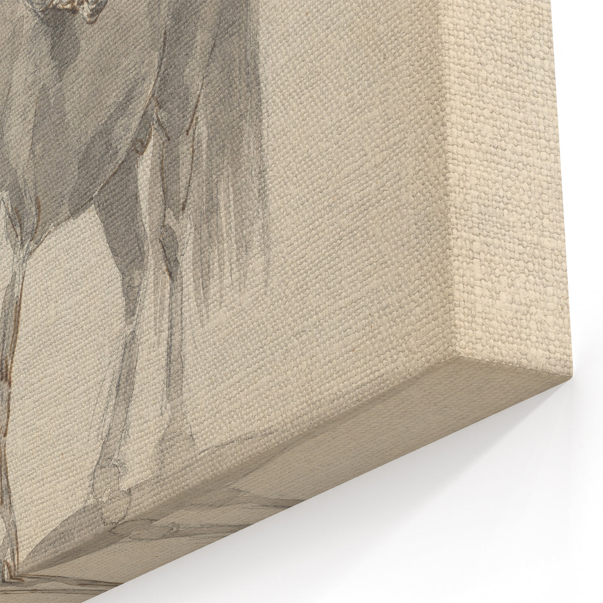 Vintage Horse Duo Illustration - Elegant Animal Wall Art Print