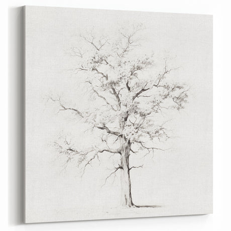 Vintage Botanical Art Prints – Antique Tree Sketch Wall Decor