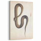 Vintage Animal Art - Retro Snake Illustration Print - Animal Wall Decor