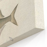 Vintage Animal Art Fish Illustration - Retro Animal Prints for Home