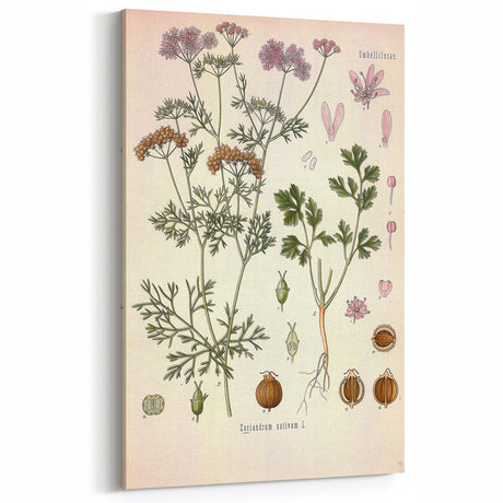 Retro Plant Posters | Vintage Botanical Art Prints Floral Wall Decor