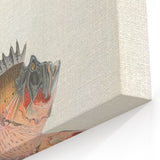 Vintage Animal Art: Deformed Hogfish Illustration Art Prints