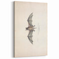 Vintage Animal Art: Murine Bat Illustration Art Prints