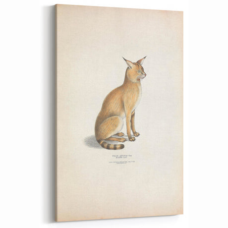 Vintage Animal Art - Retro Cat Illustration for Vintage Animal Illustration Wall Decor