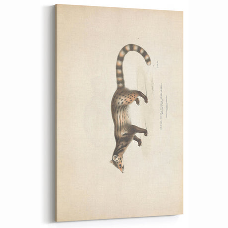 Vintage Animal Art - Retro Bengal Cat Illustration for Animal Wall Decor