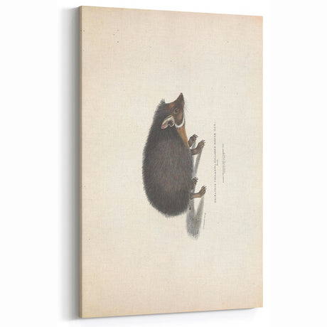 Vintage Animal Art - Retro Hedgehog Illustration for Animal Wall Decor