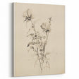Vintage Botanical Art Prints - Antique Floral Illustrations in Black and White