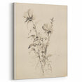 Vintage Botanical Art Prints - Antique Floral Illustrations in Black and White