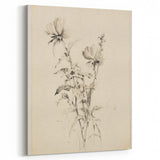 Vintage Botanical Art Prints - Antique Floral Illustrations in Black and White