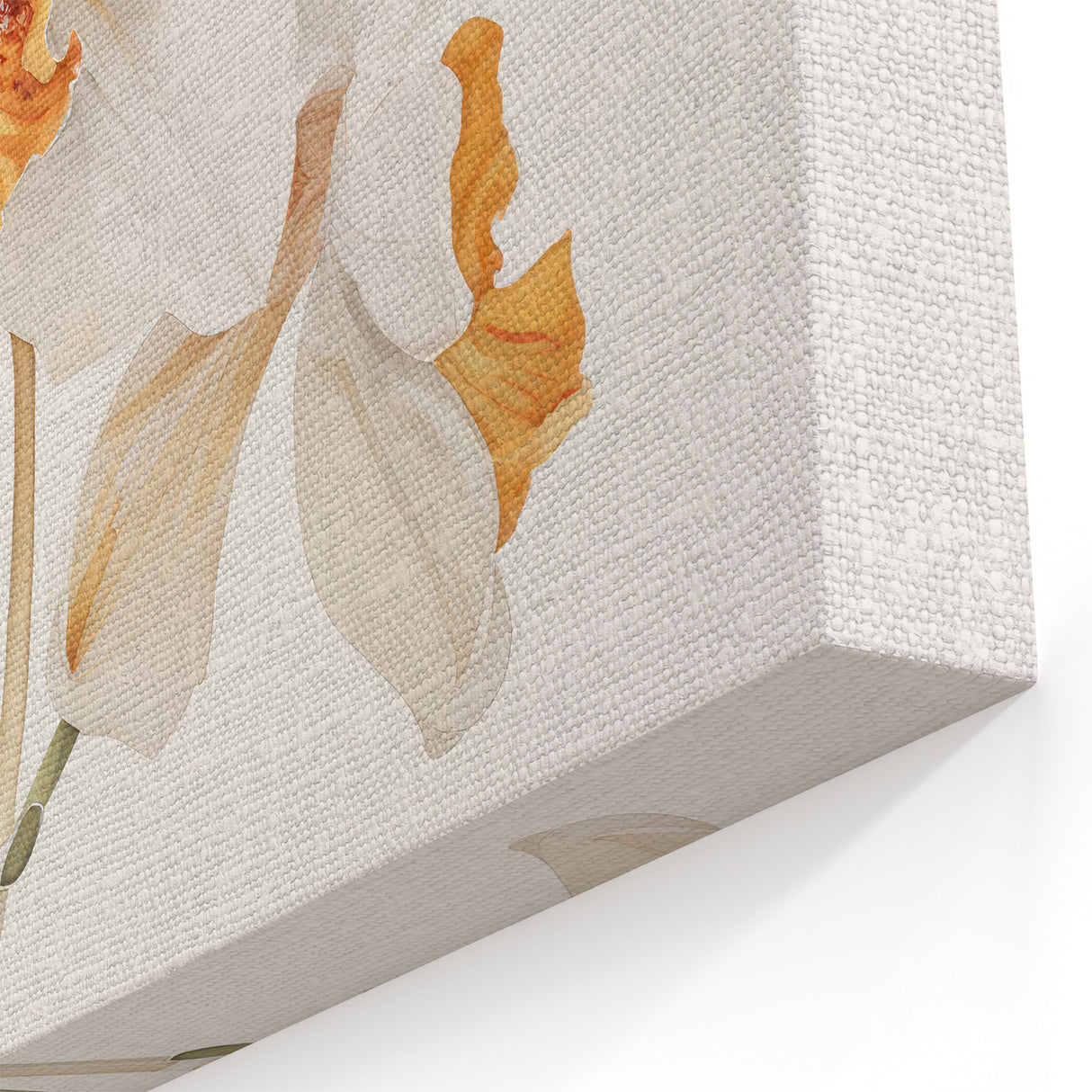 Vintage Botanical Art Prints – Orchids in Bloom Illustration