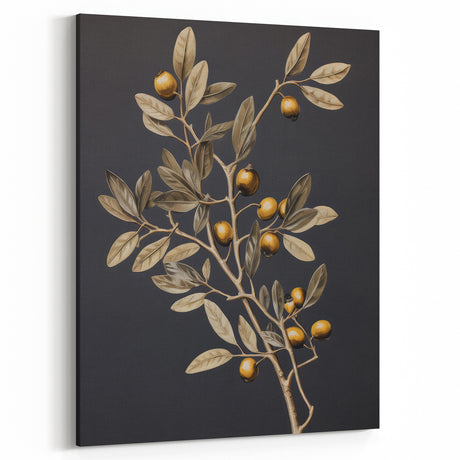 Vintage Botanical Art Prints – Olive Branch with Golden Olives