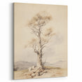Vintage Botanical Art Prints – Solitary Tree Illustration